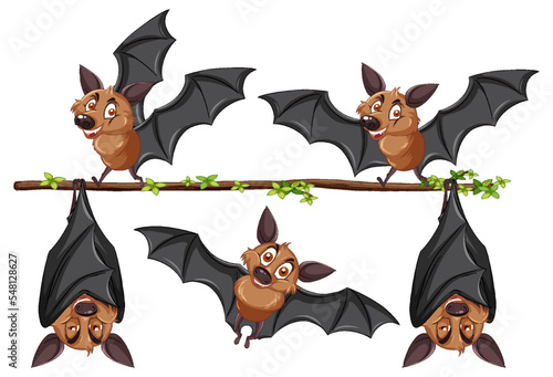 Bats on a tree branch
