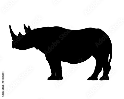 black rhinoceros icon in safari. © John