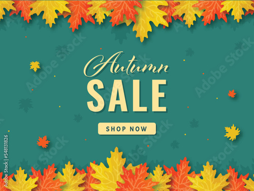 Autumn Sale Poster Or Banner Design With Maple Leaves Decorated On Teal Background.