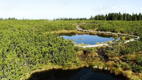 Famous Lovrenska Swampy Black Lakes, Swamplands Surrounded With Tourist Wooden Plank Road, Dense Dwarf Pine Forest, Wetland Plants Floating, Butteflies and Coniferous Forest in the Background. photo