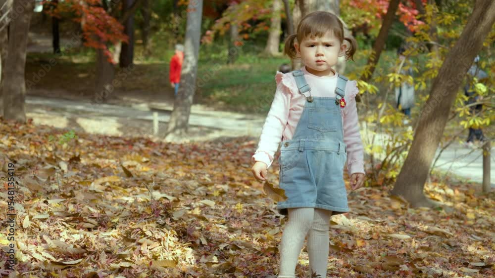 A Cute Two Years Old Girl wearing Denim Jumper Holding An Autumn Leaf Looking At The Camera At The Parl. - Full Body Shot A Cute Two Years Old Girl wearing Denim Jumper Holding An Autumn Leaf Looking At The Camera At The Parl. - Full Body Shot