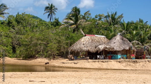 Thatched buildings on the beach in Zipolite, Mexico, under palm trees