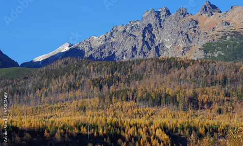 Autumn landscape in the High Tatras