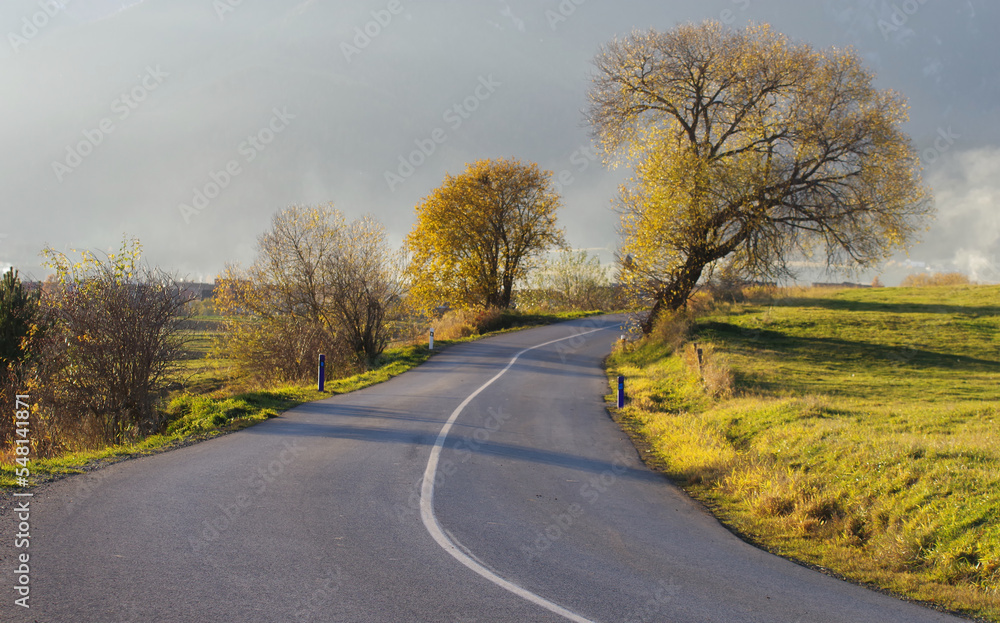 Fototapeta premium Slovak mountain road, foggy in late autumn.