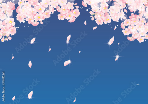 Fototapeta Naklejka Na Ścianę i Meble -  美しい夜桜の背景イラスト