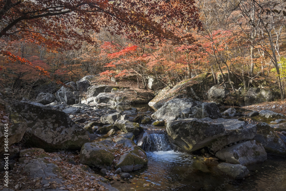 가을 단풍으로 아름다운 계곡과 시원스럽게 흐르는 물