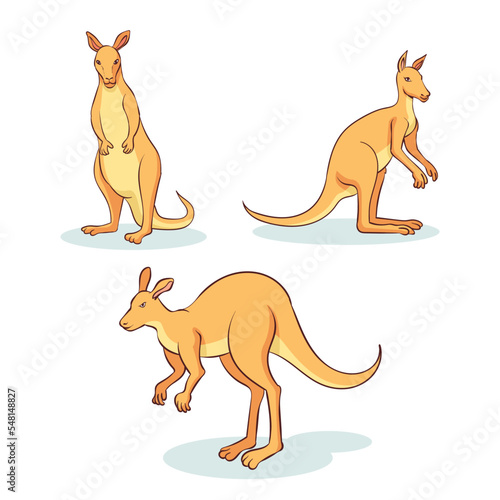 hand drawn kangaroo animals collection