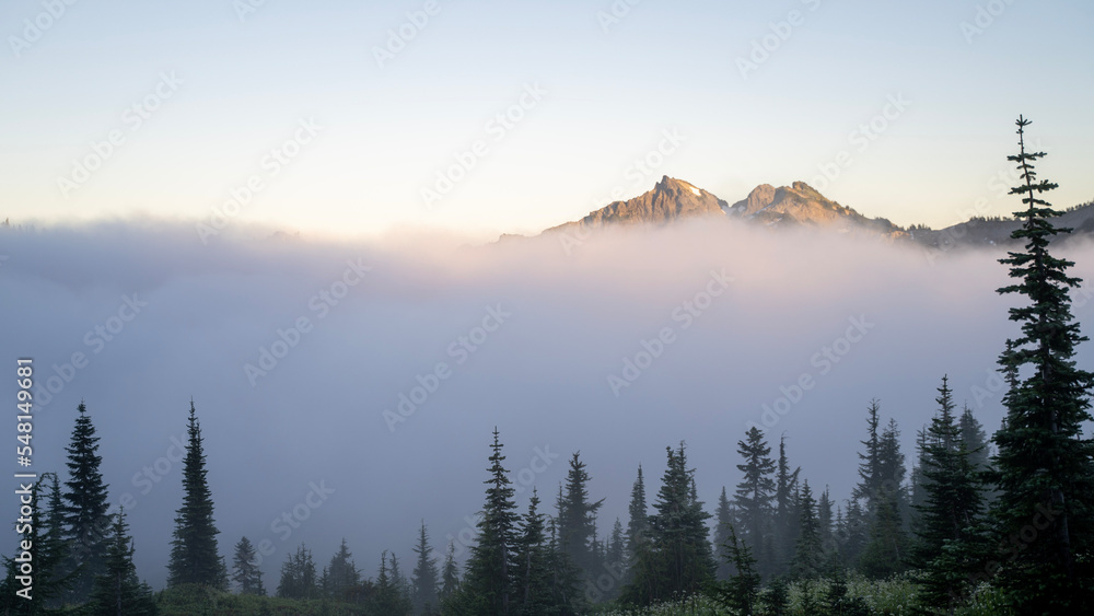 Obraz premium fog in the mountains