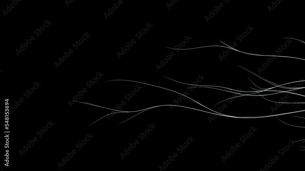 Abstract curving line white color moving slowly on black background. Animation resembling tree root with scattered movement. 3D Render.