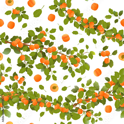 Branches overgrown apricot with ripe fruits. Garden plant with edible harvest. Seamless pattern composition. Branch with foliage and leaves. Isolated on white background. Vector