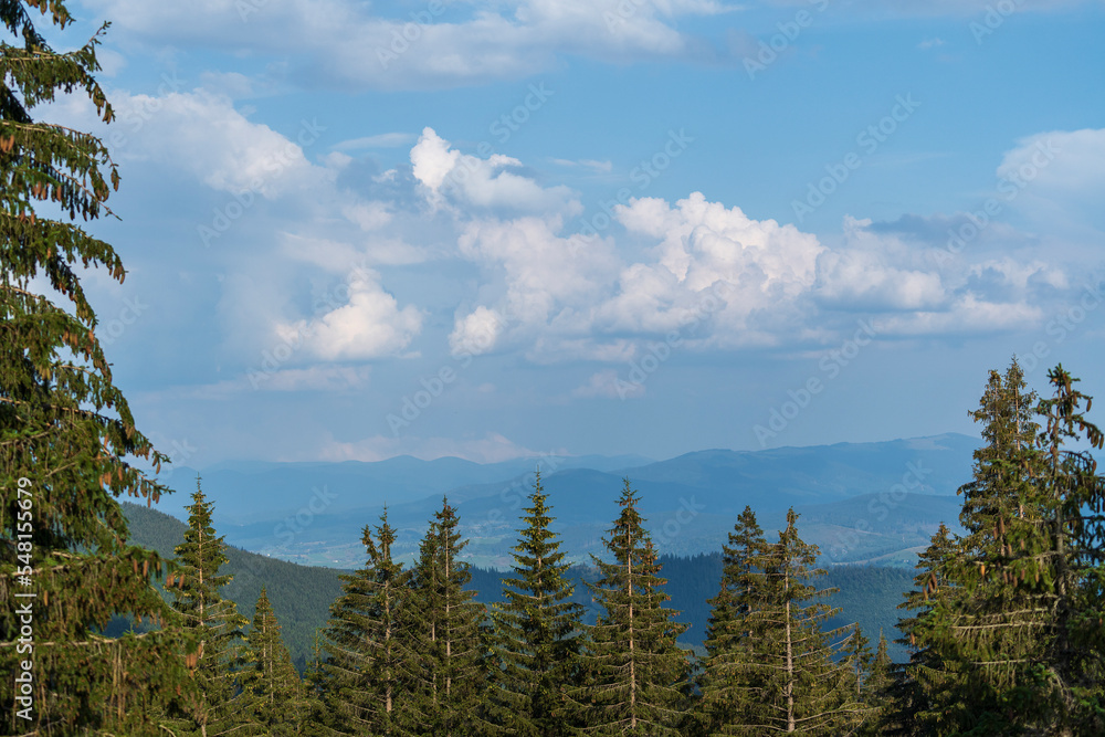 Green forest with fir trees and a meadow near mountain village Dragobrat, Western Ukraine, Europe. Beautiful nature of the Carpathian mountains on a sunny day in summer Green forest with fir trees and a meadow near mountain village Dragobrat, Western Ukraine, Europe. Beautiful nature of the Carpathian mountains on a sunny day in summer