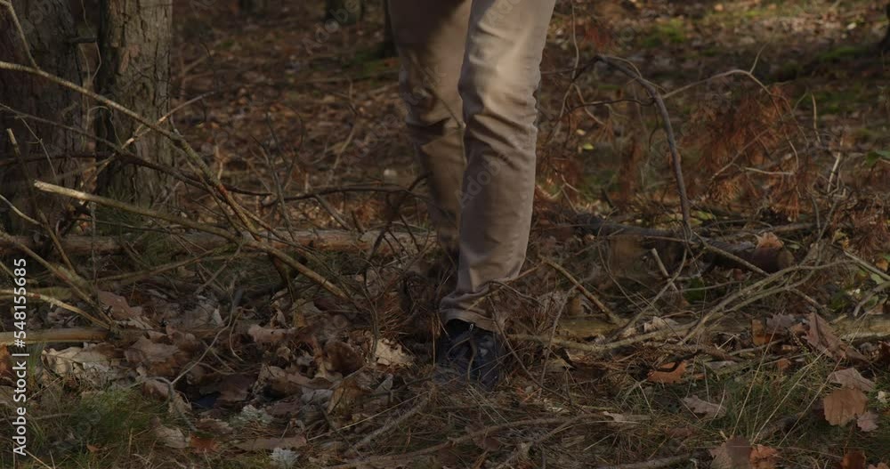 Tourist found mobile phone lost in forest on ground under autumn leaves, lucky day or crime evidence Tourist found mobile phone lost in forest on ground under autumn leaves, lucky day or crime evidence