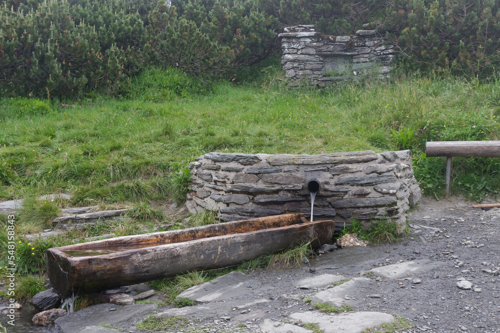 Hearty spring of water in Jesenik mountains. His name is deer spring. Hearty spring of water in Jesenik mountains. His name is deer spring.