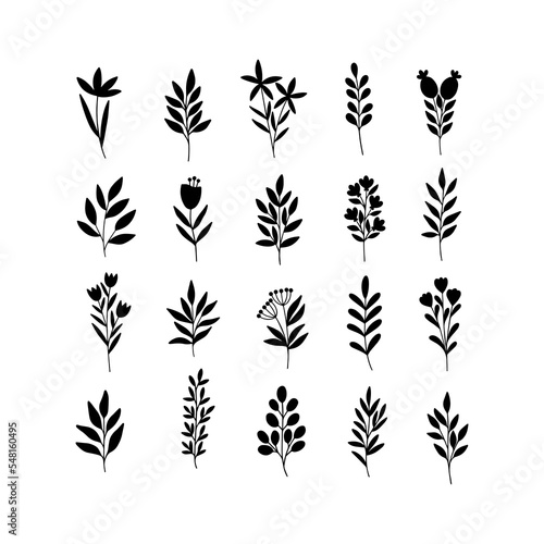 Floral vector set of wildflower, herb, branch, twig. Black leaf, flower silhouette isolated on white background. Hand drawn garden botanical illustration for herbal print, wedding card, invitation.