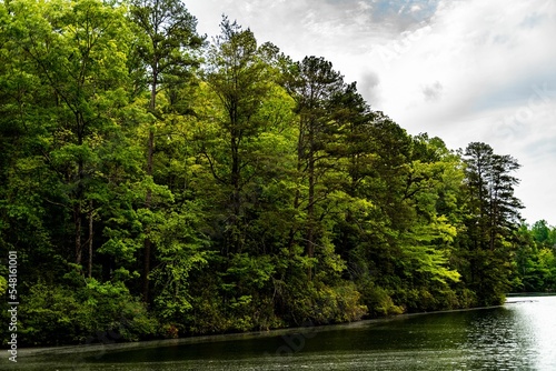 Scenic shot of lush trees on the bank of a lake under cloudy sky