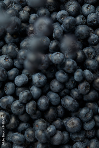 fresh blueberry full of frame, copy space, banner