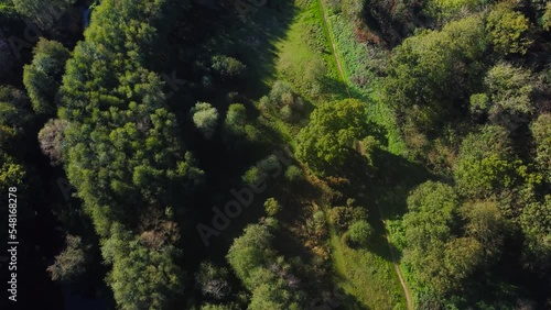 Top down drone shot moving foward of forest consisting of trees with green leaves indicating the onset of summer season in Thetford also known as Brandon norfolk. photo