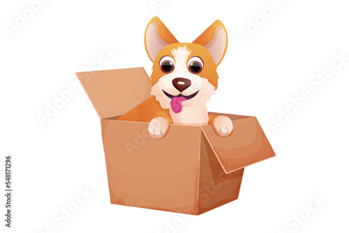 Corgi cute pet, puppy in the box, adopt animal concept, homeless character in cartoon style isolated on white background.