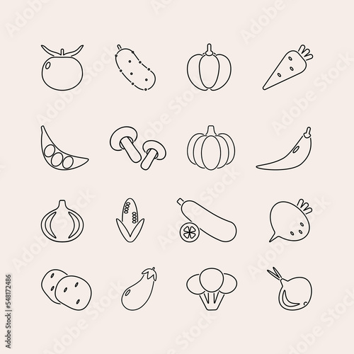 Vegetables icon set. Vector illustrations in line design. Tomato, cucumber, pepper, carrot, pumpkin, onion and etc.