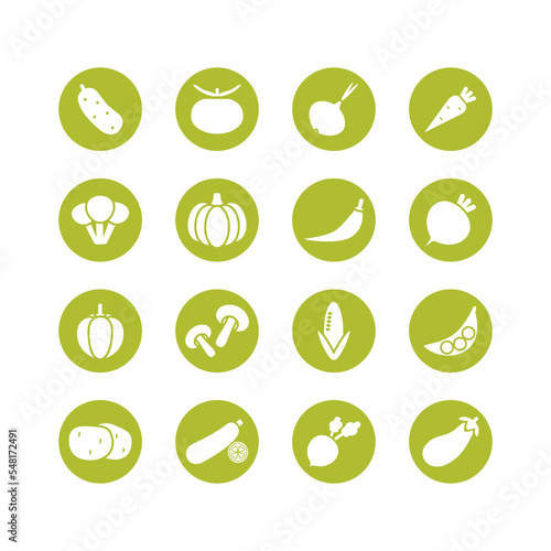 Vegetables icon set in flat design. Tomato, cucumber, pepper, carrot, pumpkin, onion and etc. Color vector illustration