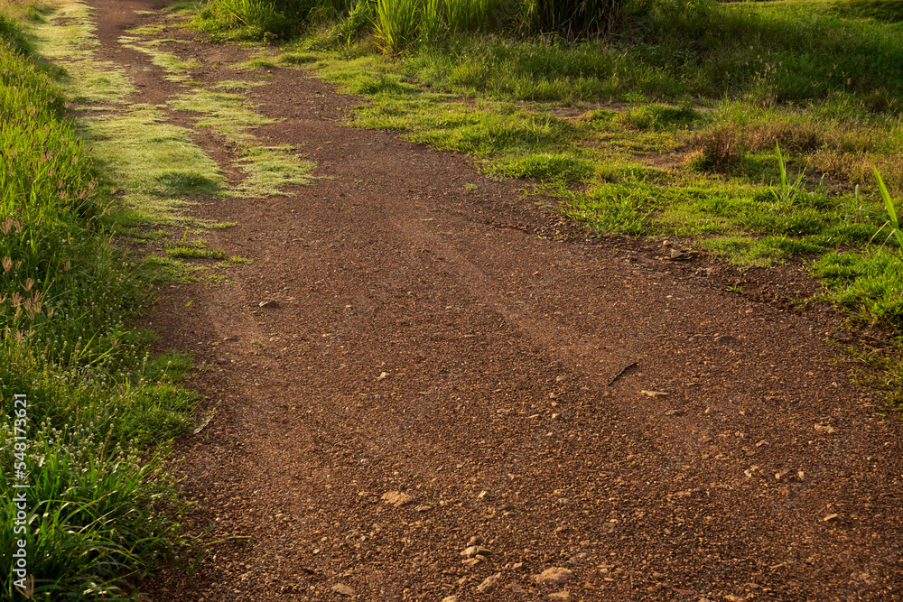 Country road with grass growth beside road, Outdoor background Country road with grass growth beside road, Outdoor background