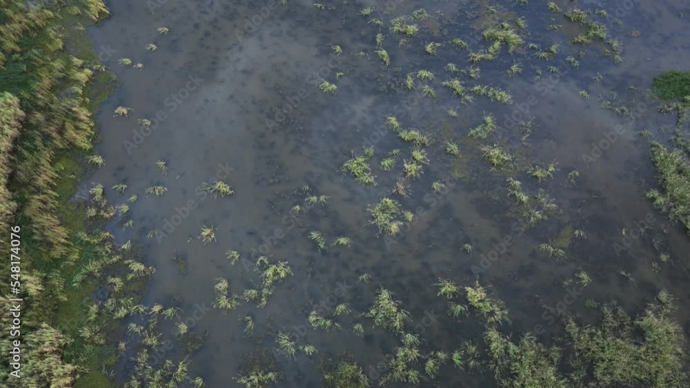 Aerial reveal of marsh near Mobile Bay, Alabama Aerial reveal of marsh near Mobile Bay, Alabama