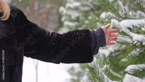 a woman's hand touches the snow on the branches of a spruce.