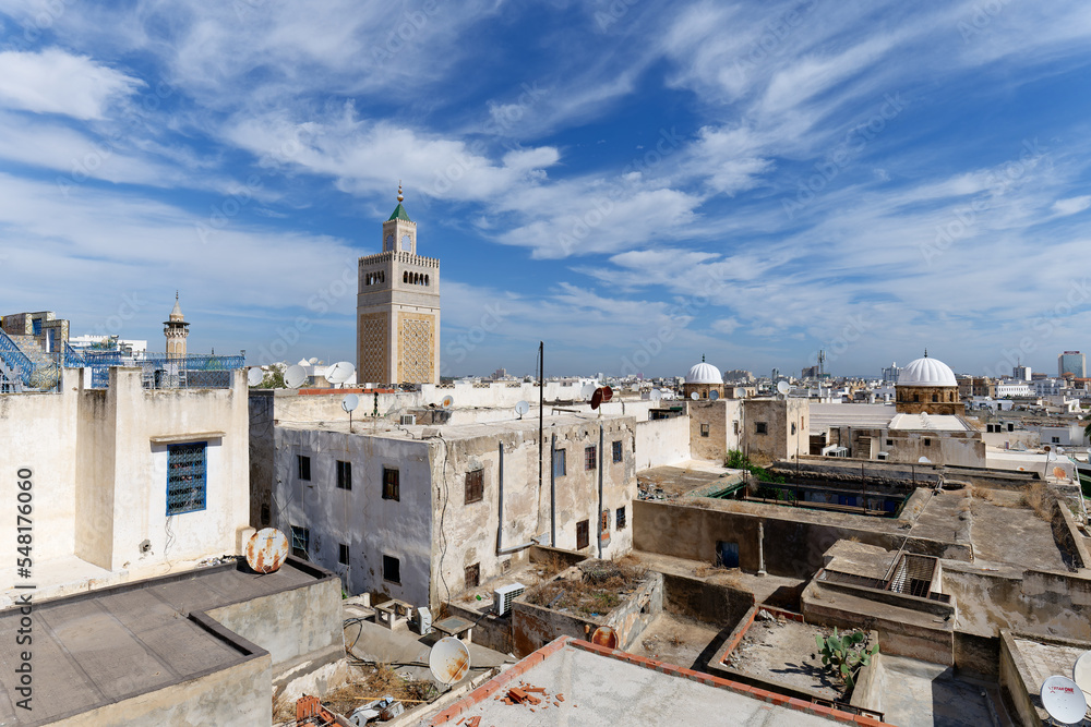 View of the Old Medina of Tunis. Unesco World Heritage Site. Around 700 monuments, including palaces, mosques, mausoleums, madrasas and fountains, testify to this remarkable historic city.