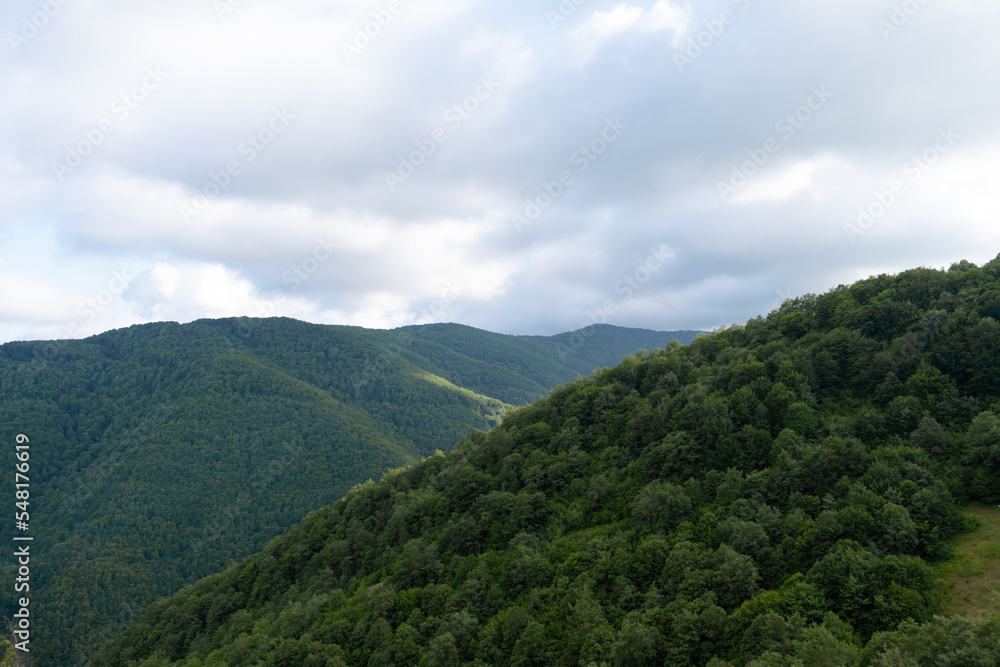 Forest of trees in wilderness mountains, white cloudy sky, amazing nature background with clouds and mountain peaks