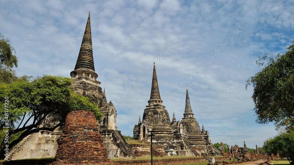 Fototapeta premium 遺跡を巡る