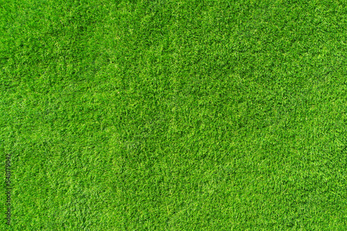 Lawn background. Green grass surface. Sport, decor, nature, spring concept. © uladzimirzuyeu