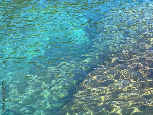 Wallpaper Mural Reef in blue sea with transparent azure water surface. Torontodigital.ca