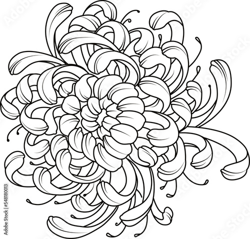  flower line drawing vector. Modern single line art, aesthetic contour. Perfect for home decor such as posters, wall art 