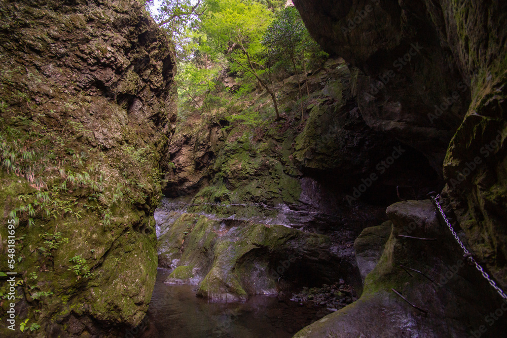 waterfall in the forest in japan