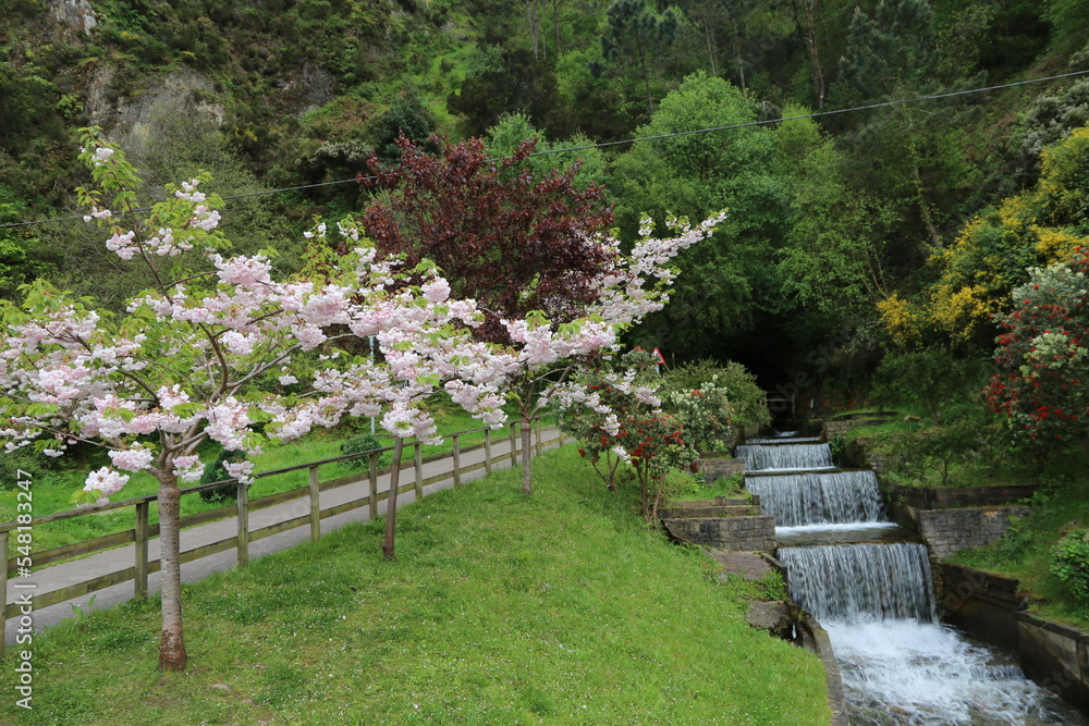 Jardín