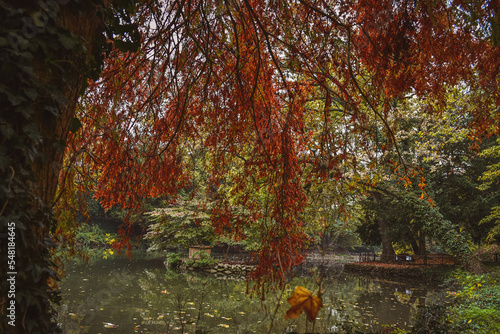 FOLIAGE AL PARCO DI MONZA