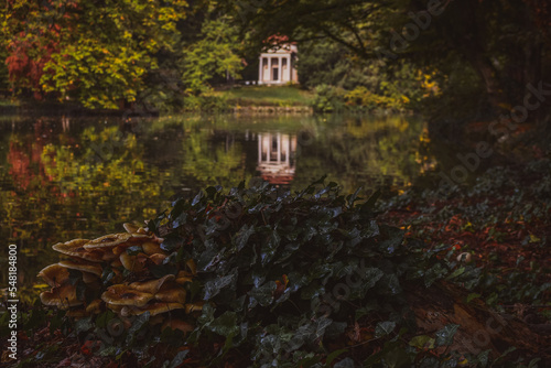 FOLIAGE AL PARCO DI MONZA