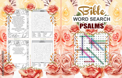 Bible Word Search Psalms cover for adults, kids and teens