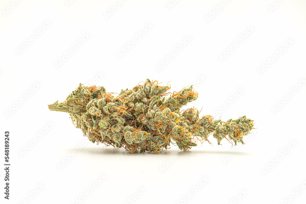 Dry marijuana buds flower on a white background Dry marijuana buds flower on a white background