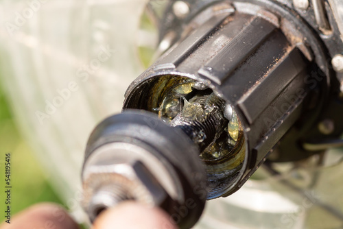 Vászonkép Changing the lubrication and cleaning the bearings of the bike hub