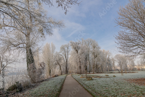 Hoar frost on trees and grass in a park with a footpath