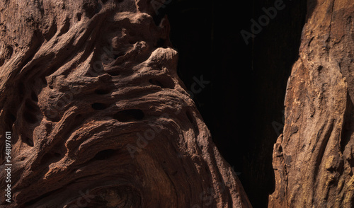 Brown bark background. Light and shadow on surface of the old bark worn away shows some beautiful texture in dark tone style