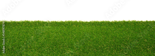 Green grass field isolated on white
