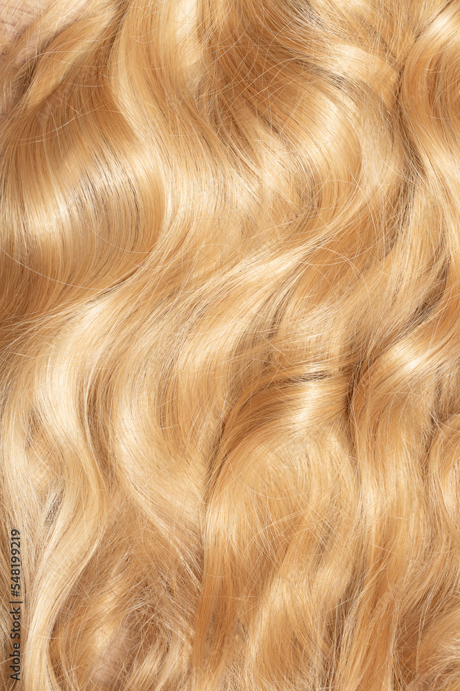 Blond hair close-up as a background. Women's long blonde hair. Beautifully styled wavy shiny curls. Hair coloring. Hairdressing procedures, extension.