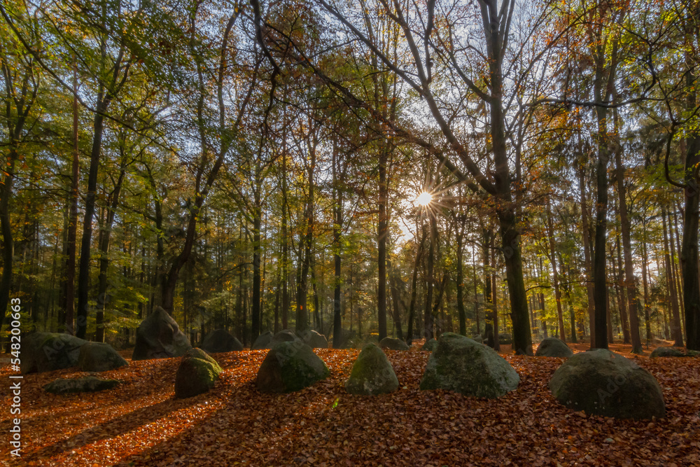 Fototapeta premium Großsteingräber im sonnigen Herbstwald.