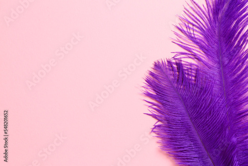 Beautiful violet feathers on pink background, top view. Space for text © New Africa