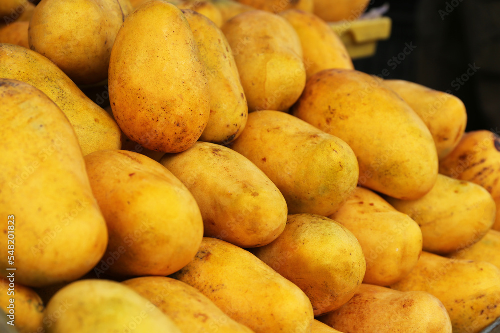 Pile of delicious ripe yellow mangoes, closeup Pile of delicious ripe yellow mangoes, closeup