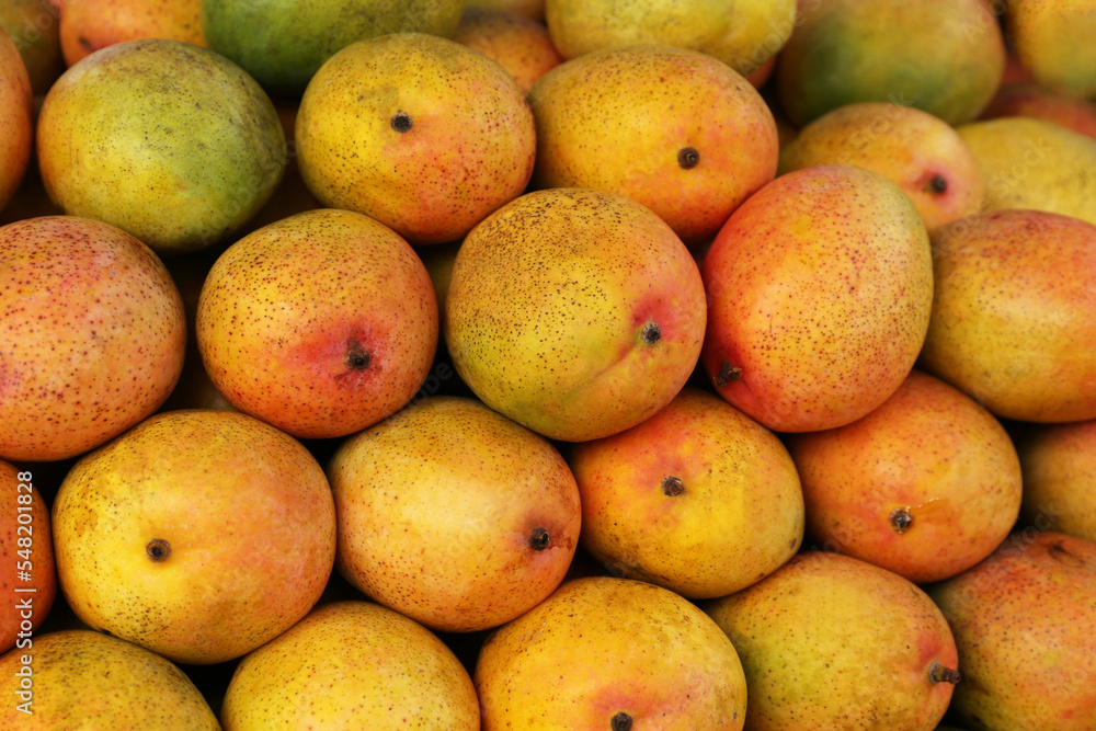 Pile of delicious ripe yellow mangoes, closeup