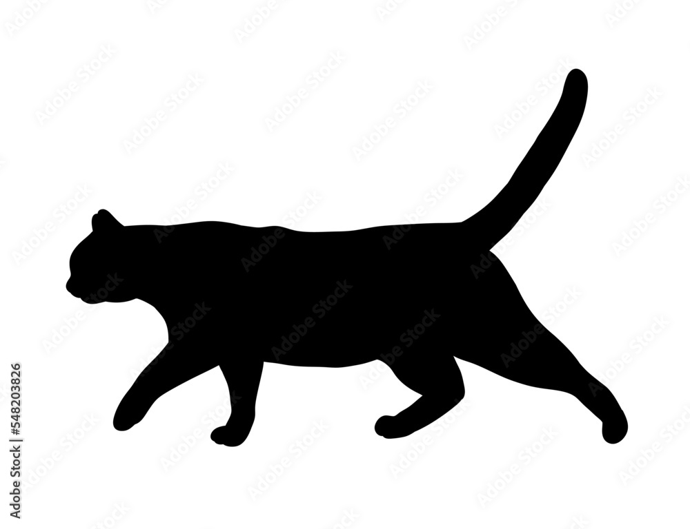 Black Cat Walking Abstract Silhouette. Icon, Logo vector illustration.