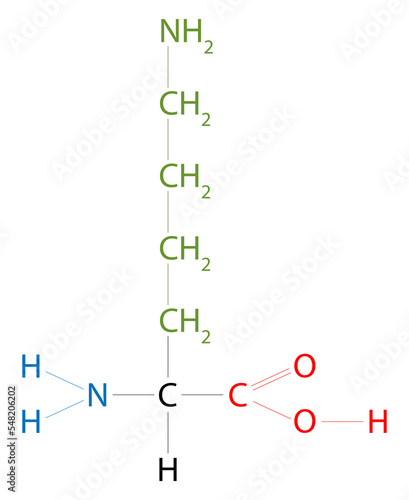 Lysine. Lysine is an amino acid that has a side chain lysyl. photo